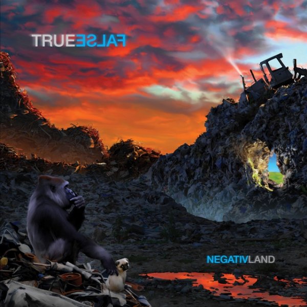 True False - album