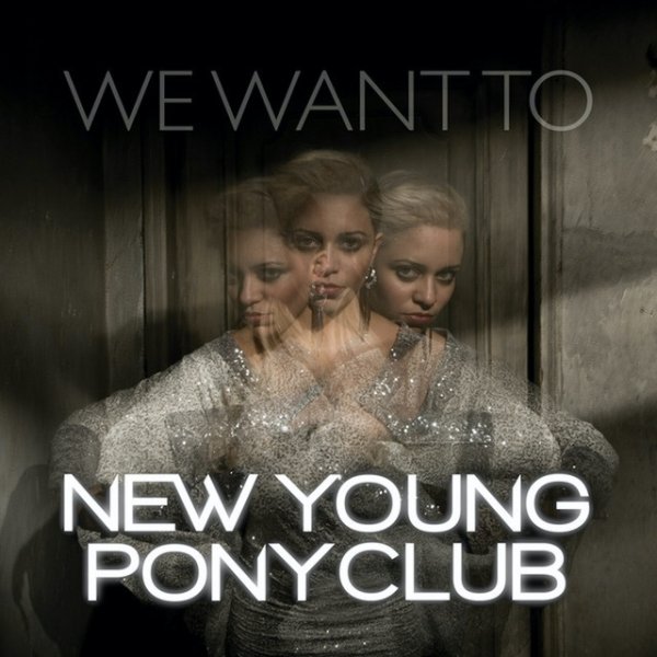 Album New Young Pony Club - We Want to