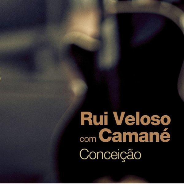 Rui Veloso Conceição, 2012