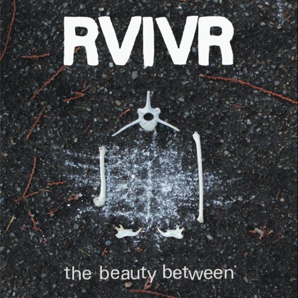 The Beauty Between - album