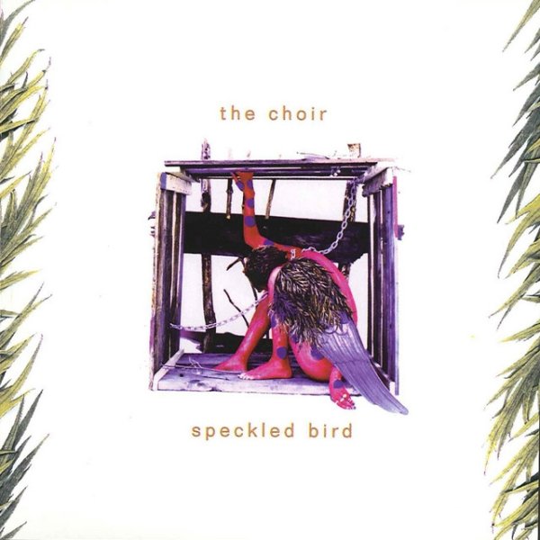 Speckled Bird - album