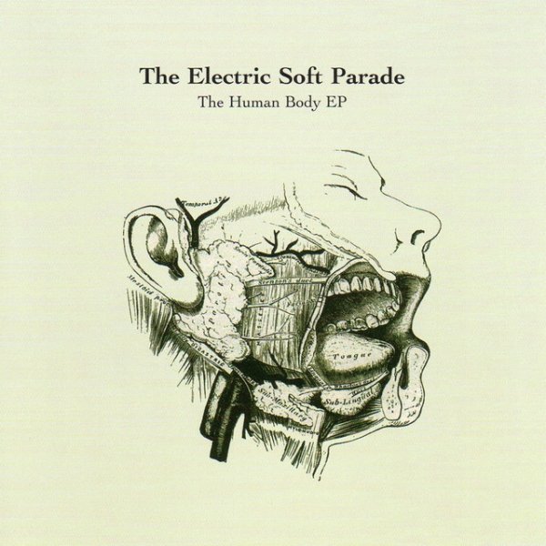 The Electric Soft Parade The Human Body, 2006