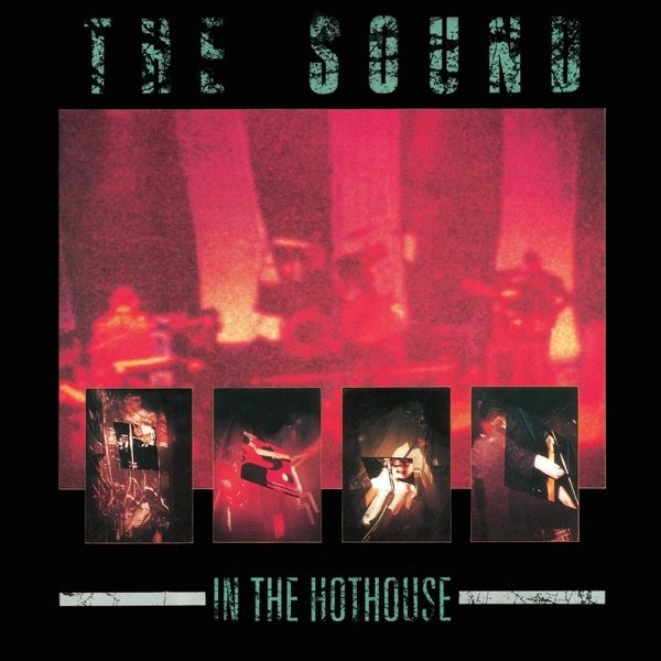 The Sound In the Hothouse, 1986