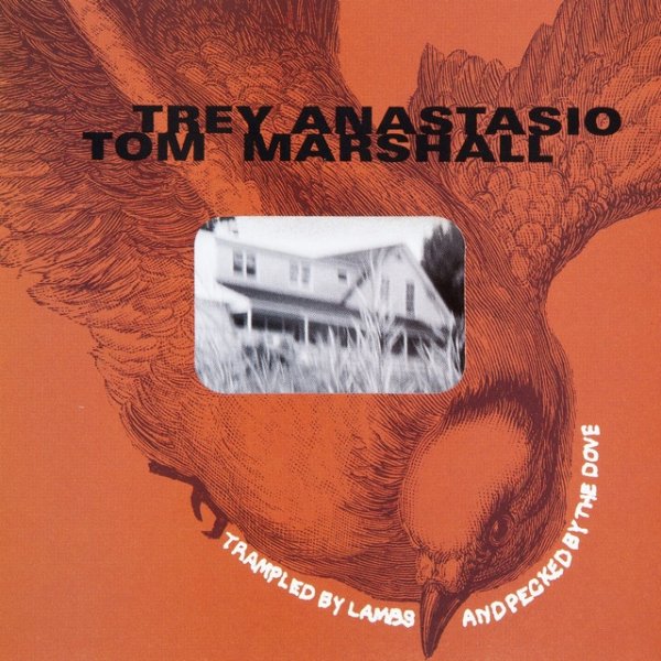 Album Trey Anastasio - Trampled by Lambs and Pecked by the Dove