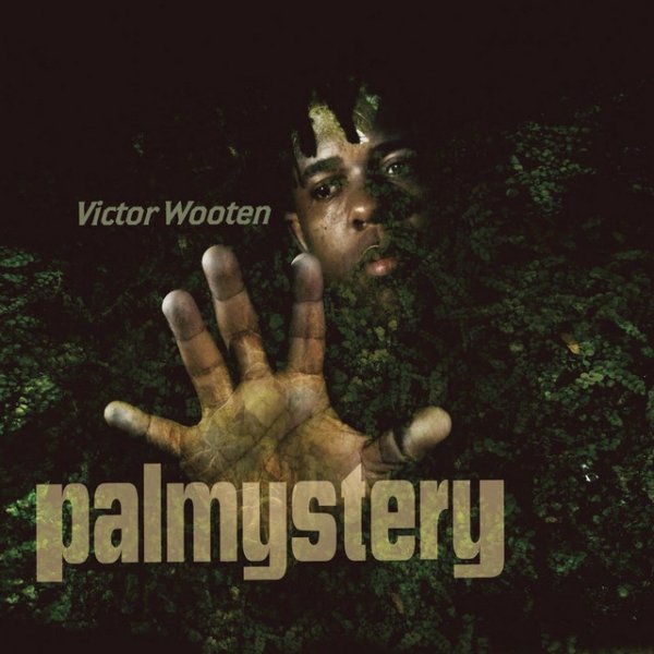 Album Victor Wooten - Palmystery