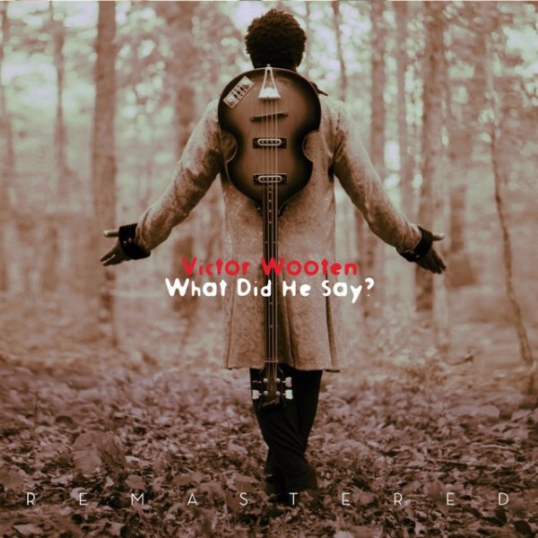 Victor Wooten What Did He Say?, 1997