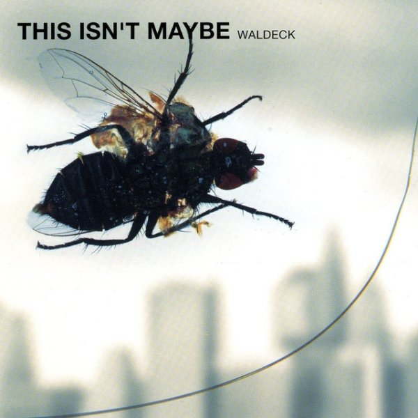 This Isn't Maybe - album