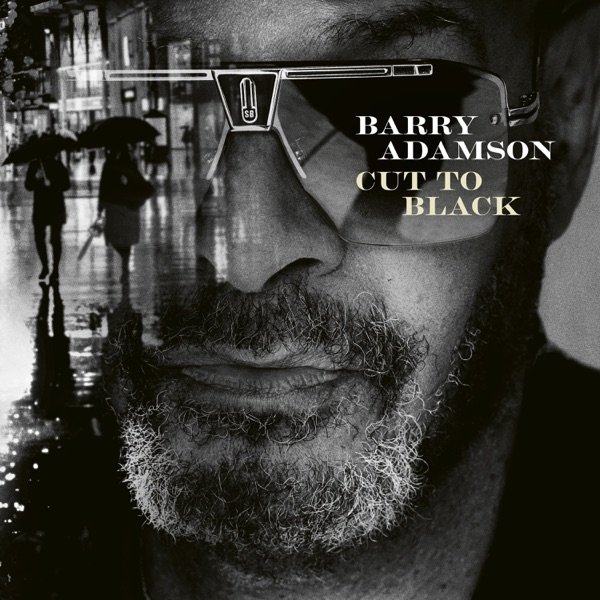 Album Barry Adamson - Cut To Black
