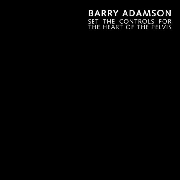 Album Barry Adamson - Set the Controls for the Heart of the Pelvis