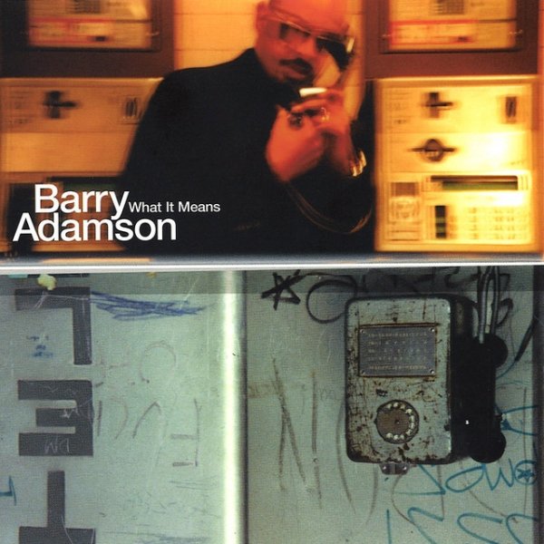 Album Barry Adamson - What It Means