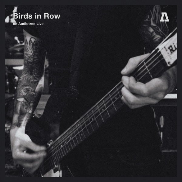 Birds in Row on Audiotree Live Album 