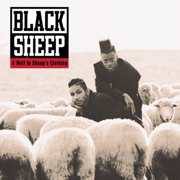 Album Black Sheep - A Wolf In Sheep
