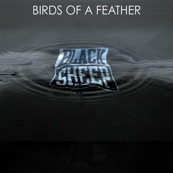 Birds of a Feather - album