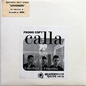 Calla Fireflies/Tijerina, 2000