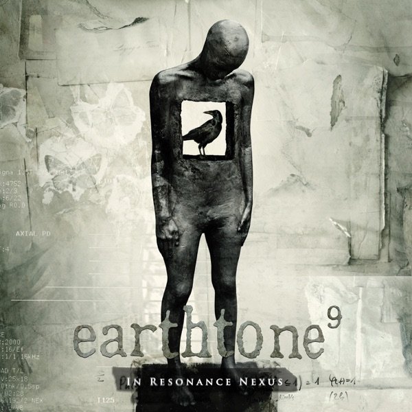 Album earthtone9 - In Resonance Nexus