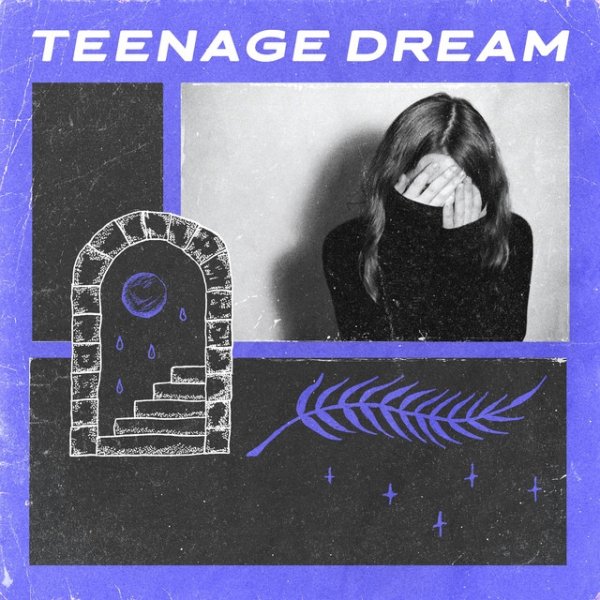 Teenage Dream Album 