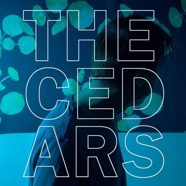 The Cedars - album