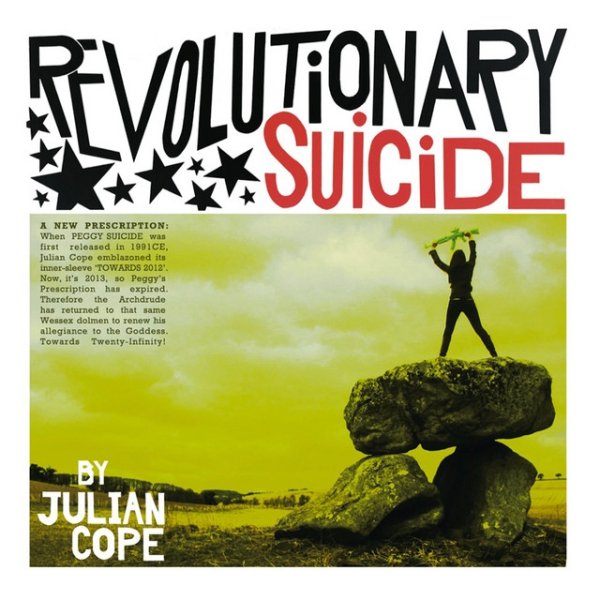 Julian Cope Revolutionary Suicide, 2013