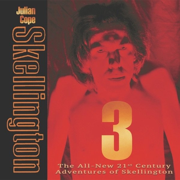 Album Julian Cope - Skellington 3