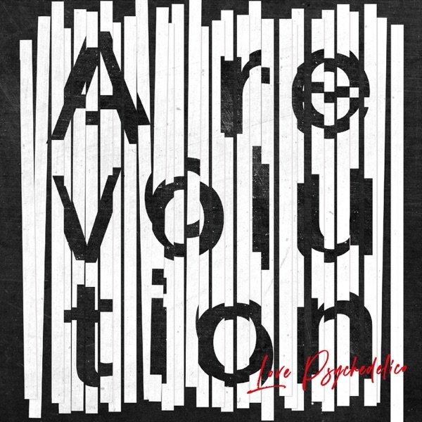 A Revolution Album 
