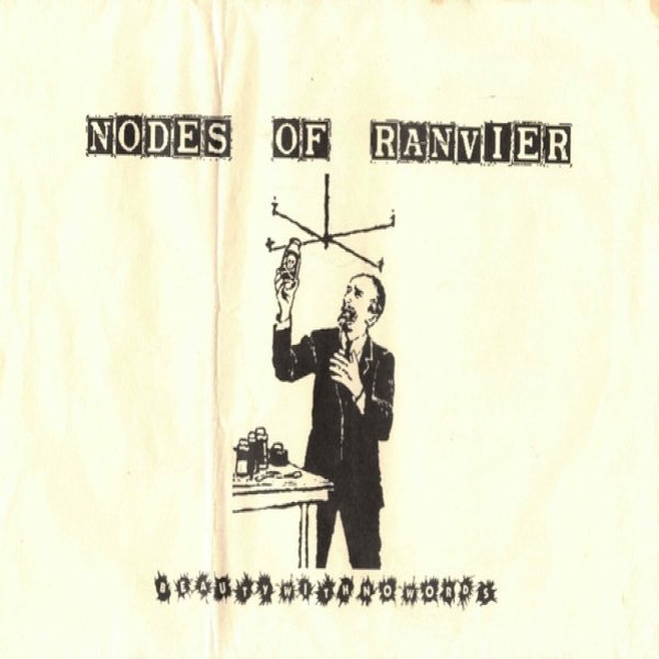 Album Nodes Of Ranvier - Beauty With No Words