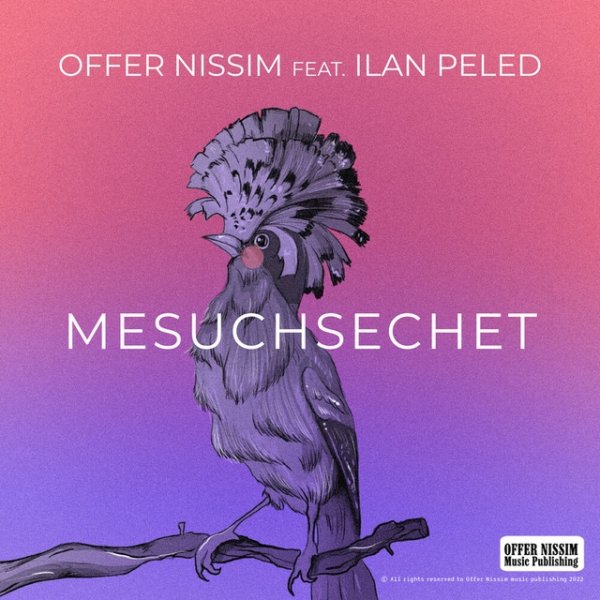 Album Offer Nissim - Mesuchsechet