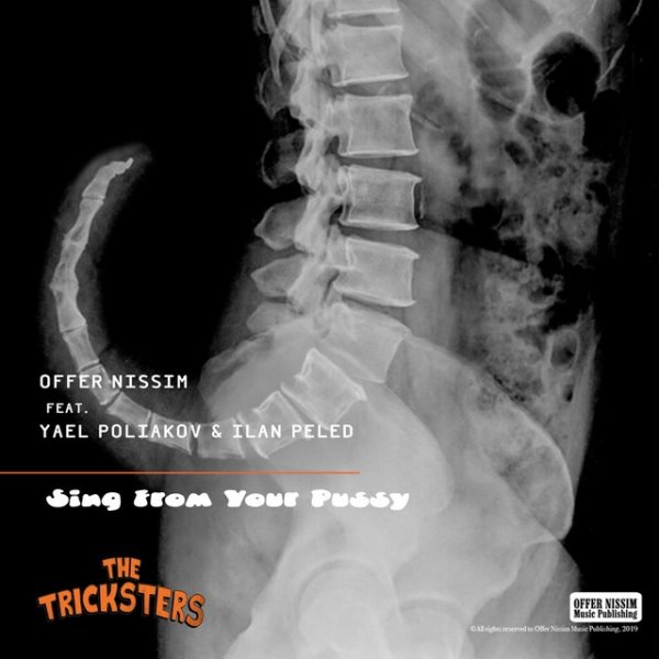 Album Offer Nissim - Sing From Your Pussy: The Tricksters