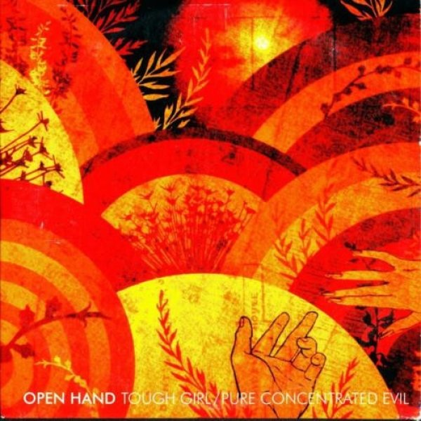 Open Hand Tough Girl, 2005