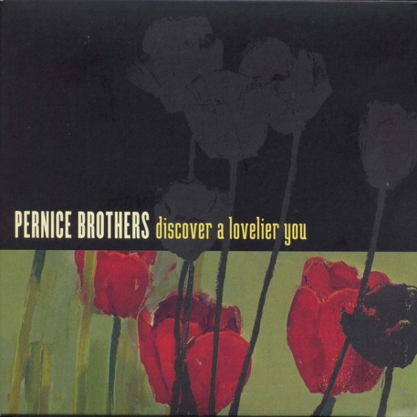 Album Pernice Brothers - Discover A Lovelier You