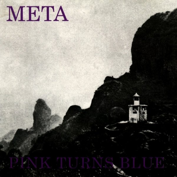Album Pink Turns Blue - Meta
