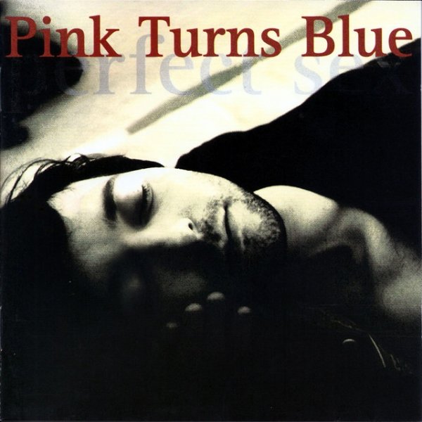 Album Pink Turns Blue - Perfect Sex