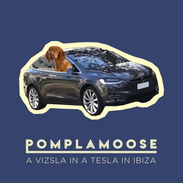 A Vizsla in a Tesla in Ibiza Album 