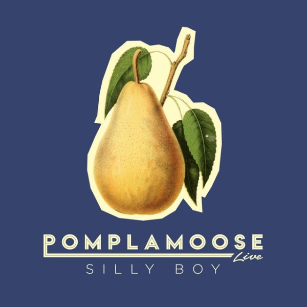 Album Pomplamoose - Silly Boy