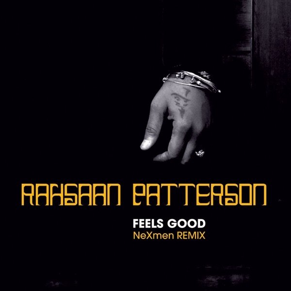 Album Rahsaan Patterson - Feels Good