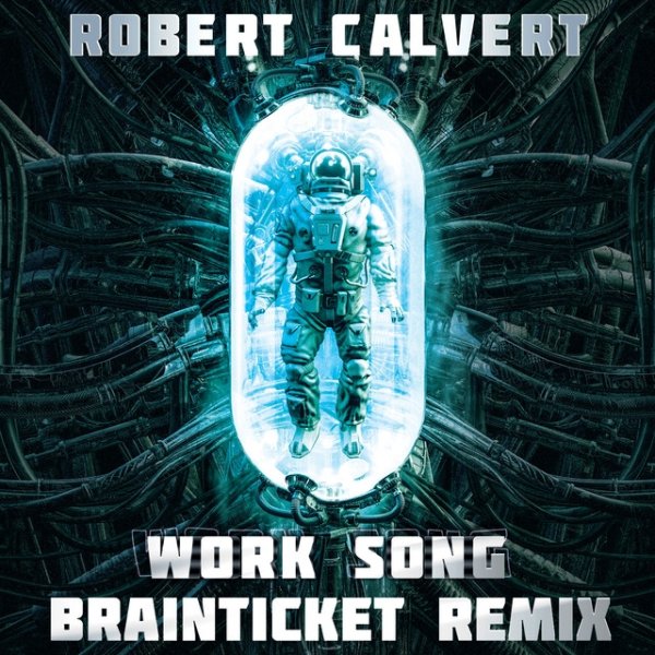 Album Robert Calvert - Work Song