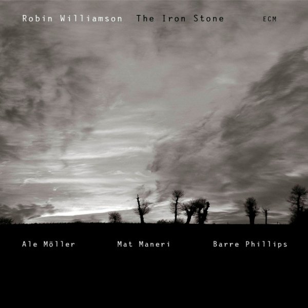 Album Robin Williamson - The Iron Stone