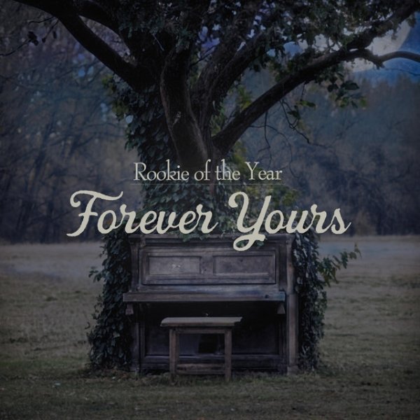 Album Rookie of the Year - Forever Yours