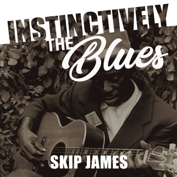 Album Skip James - Instinctively the Blues - Skip James