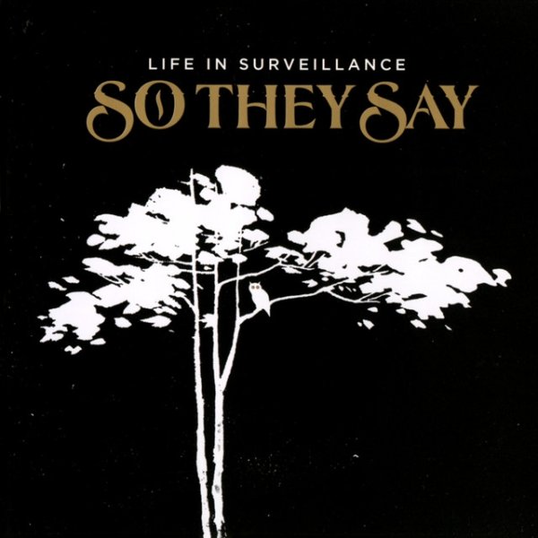So They Say Life In Surveillance, 2007