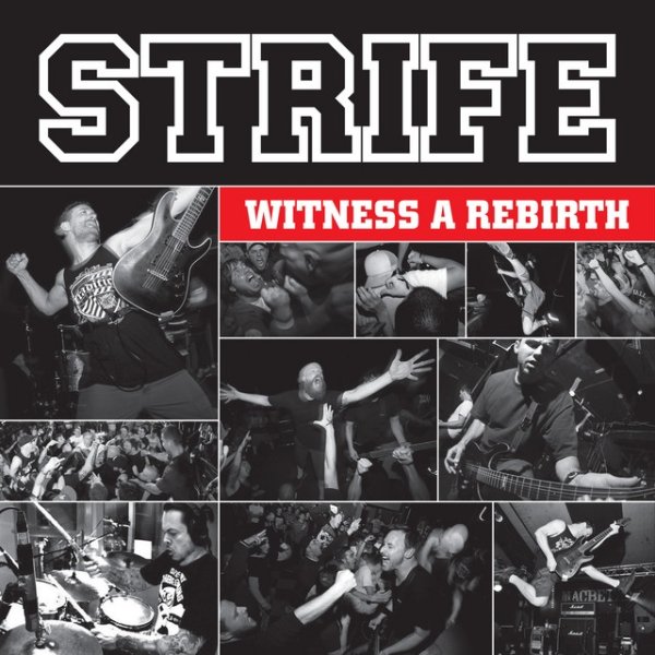 Album Strife - Witness a Rebirth