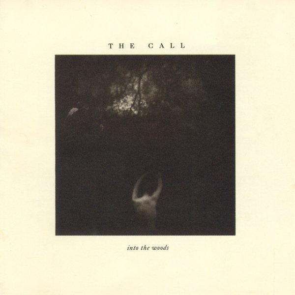 Album The Call - Into the Woods