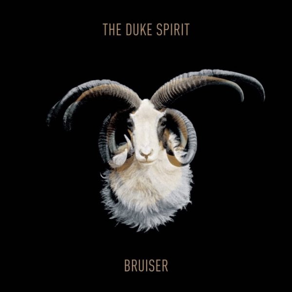 Album The Duke Spirit - Bruiser