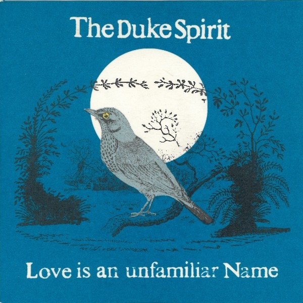 Album The Duke Spirit - Love Is An Unfamiliar Name
