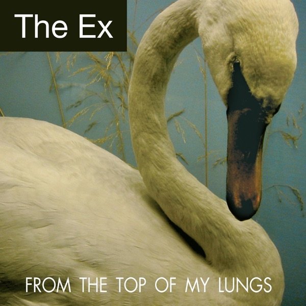 Album The Ex - From The Top Of My Lungs