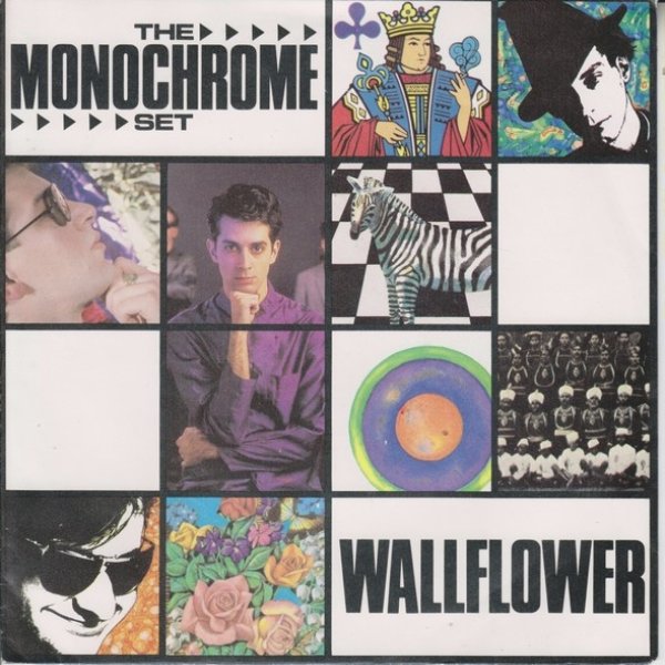 Album The Monochrome Set - Wallflower