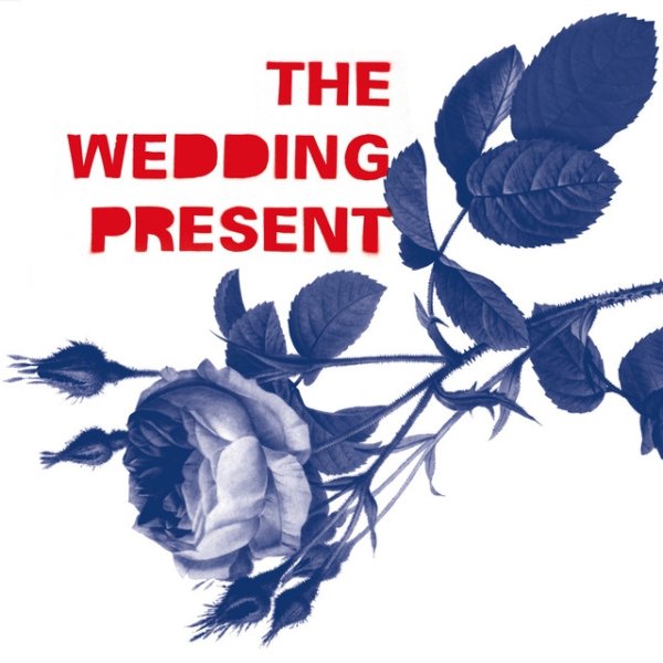 Album The Wedding Present - Tommy 30