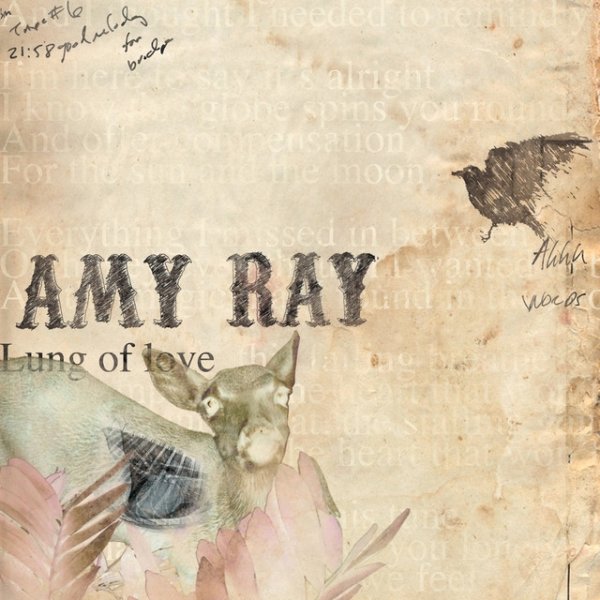 Amy Ray Lung of Love, 2012