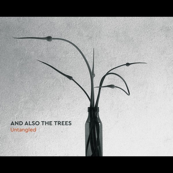 Album And Also The Trees - Untangled