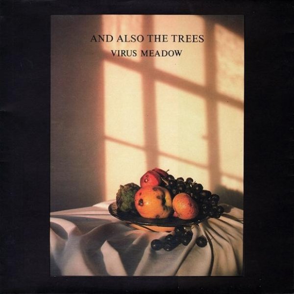 Virus Meadow - album