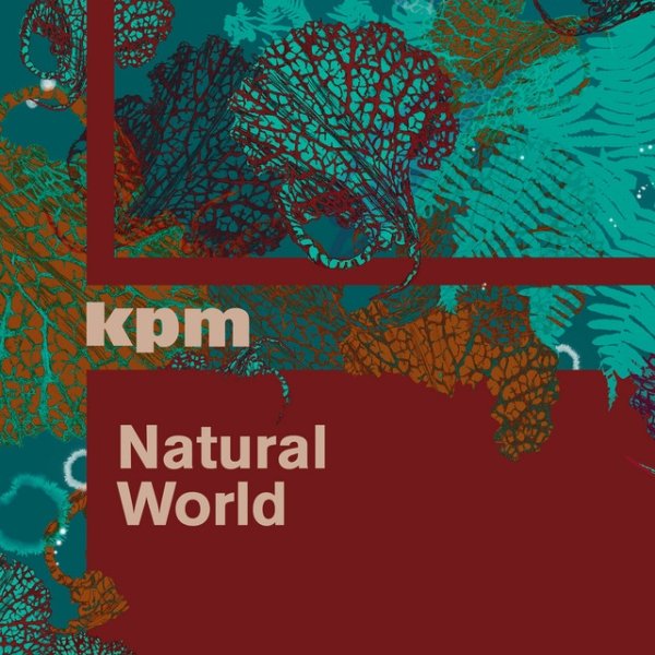 Album Anthony Phillips - Natural World